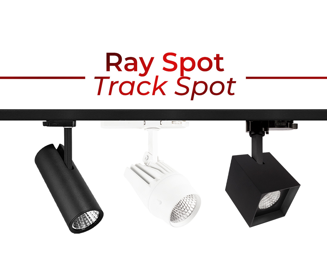 Ray Spot Ürün Ailesi